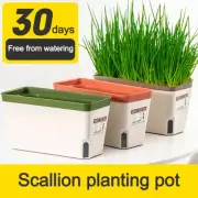 Rectangular Flower Pot Indoor Flower Planter Box Vegetable Planter