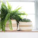 室內植物編織植物籃 室內植物波西米亞籃式花盆 室內植物籃兩件套