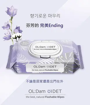 OLDAM Cotton Blossom可沖濕式衛生紙/ 棉花香/ 車前草萃取物