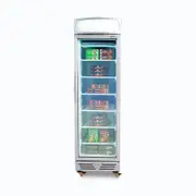 Bromic Refrigeration Bromic Upright Display Freezer with Lightbox Flat Glass Door 300L UF0374LS - Display Freezers (BR-3736046) - 3736046-NR-BR