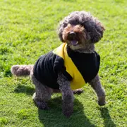 AFL Richmond Tigers Pet Jumper - Medium