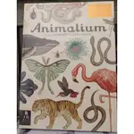 全新英文手繪本《ANIMALIUM》  WELCOME TO THE MUSEUM系列       850元