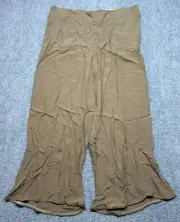 Chicos Pants Womens 3 Regular Plymouth Brown Crepe Pure Rayon High Rise New