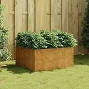 Raised Garden Bed, Elevated Planter Box Plant Container 80x80x40 cm Corten Steel