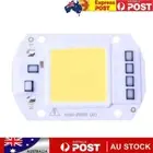 50W LEDs Floodlight Lighting COB Chips 220V Input Integrated Smart IC Driver