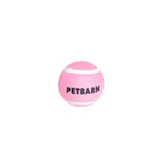 Petbarn Fetch Ball Dog Toy Pink XS