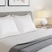 Linenova 100% Bamboo Queen Pillowcase 2 Pack