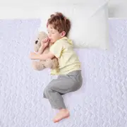 Dreamz 2x Waterproof Washable Mattress Protector Single