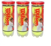 Wilson Championship Tennis Ball 1 Case Tennis Balls 24 Canes