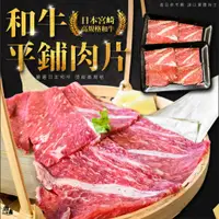 在飛比找蝦皮購物優惠-和牛平鋪肉片 100g 日本 宮崎 頂級 雪花 和牛 燒肉片