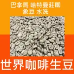 1KG生豆 巴拿馬 哈特曼莊園 大嘴鳥 象豆 水洗 - 世界咖啡生豆《尋豆~只為飄香台灣》咖啡生豆 精品豆 咖啡豆 精品