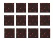 Wholesale Halloween Spider Web Napkins192 pcs Beistle Bulk Party Supplies Black