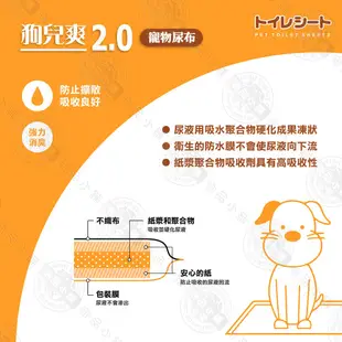 狗兒爽 2.0 寵物尿布 多包組 S100入/M50入/L25入 強力消臭 超瞬吸 不回滲 尿布墊 尿片 狗而爽