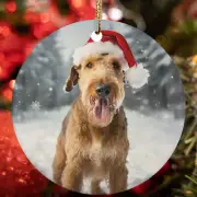 Cute Airedale Terrier Dog Santa Hat Snow Winter Christmas Ornament Gift Decor