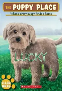 在飛比找博客來優惠-Lucky