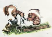 VTG Springer Spaniel dog colored Art print by artist Judy Young signed