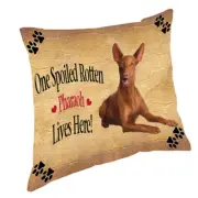 Pharaoh Spoiled Rotten Dog Throw Pillow 14x14