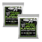 2 Sets Ernie Ball Regular Slinky 45-130 Cobalt Flatwound Bass Guitar 5-Strings