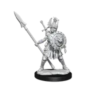 D&D Frameworks Human Fighter Female