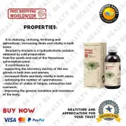 Bear Branch Tincture Extract Liquid Herbal , Fertility Sexual Improvement 200ml