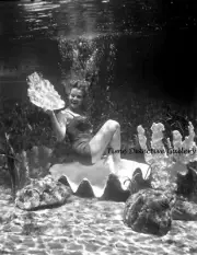Underwater Model in a Clamshell, Silver Springs, FL - 1958 - Vintage Photo Print