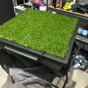Pet loo medium grass with replacement grass and replacement pee pods