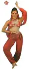 Arabesque Child Small Belly Dance Costume Christmas Genie Jeannie Harem Jumpsuit