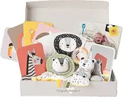 Taf Toys Newborn Develop and Play Gift Set. Development Kit Includes Tummy-time Pillow, Flash Card, Safe Mirror, Libby The Lion Cub and Rattle. Suitable for Baby Boys & Girls 0 Months +