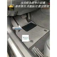 在飛比找蝦皮購物優惠-車殿下海馬4x4仿碳纖黃金腳踏墊專車專用TOYOTA VIO