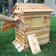 7 Upgraded Auto Honey Beehive Beehives Frames + Beekeeping Brood Cedarwood Boxes