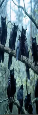 FLYING BLACK CAT IN ENCHANTED FOREST, BIRD, DOG , CATS,FAIRIES-UNIQUE BOOKMARKS