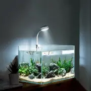 Bigtron Full Spectrum Aquarium Light, Small Clip Light for Fish Tank with 2 B...