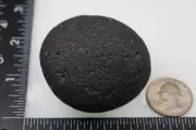 Black Sheba - Cintamani - 134g - Rarer than Saffordite Impactite Tektite #dhx38