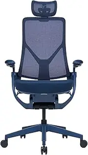 TT AEROFLEX Ergochair Mesh Office Chair Ergonomic Chair (Navy Blue)
