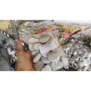 1 公斤珊瑚石珊瑚石標本石彩色石材