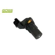 RAE Crankshaft Position Sensor - SC514