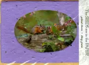 Chipmunk Chipmunks Blank Inside Seed Paper Seeds Leanin' Tree Greeting Card