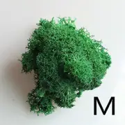 1 Bag Grass Plant Moss Artificial Landscape Craft Multicolor Flower Decor Micro Fake Fairy Home Garden Colorful Reindeer green