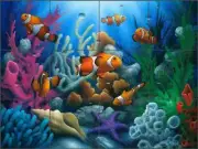 Glass Tile Backsplash David Miller Clown Fish Undersea Art Mural DMA2001