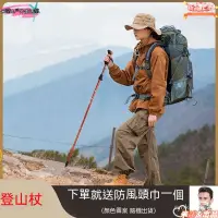 在飛比找蝦皮購物優惠-💥全新上市💥 避震登山杖 伸縮登山杖 鋁閤金登山杖 老人拐杖