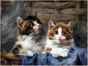 Two Kittens J. Adam Accent Tile Mural Kitchen Bathroom Wall Backsplash Ceramic