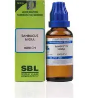 SBL Sambucus Nigra Dilution 1000 CH
