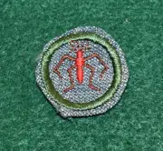 GIRL SCOUT BADGE - SILVER GREEN - FRESH WATER LIFE FINDER - NEW AND UNSEWN