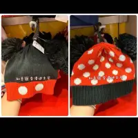 在飛比找Yahoo!奇摩拍賣優惠-香港迪士尼 HK 米奇 米妮 兩款造型 兒童毛線帽 如意貓