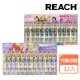 【REACH 麗奇】日本境內限定 迪士尼公主系列KIDS兒童牙刷12入套裝組(嬰幼兒/學齡兒童)