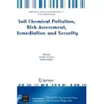 SOIL CHEMICAL POLLUTION, RISK ASSESSMENT, REMEDIATION AND SECURITY