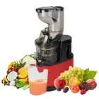 Cold Press Juicer 300W Masticating - Clear - 2 Containers