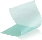WCL (Wound Contact Layer) Dressing 2 x 3 (Box of 10) BSN # 7266200