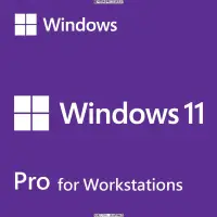 在飛比找露天拍賣優惠-微軟 Win 11 Pro for Wrkstns 64Bi