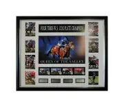 Winx 2015 - 2018 Cox Plate Champion Queen of the Valley Framed Record Breaker